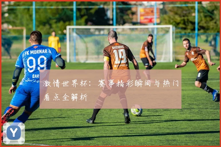 激情世界杯：赛事精彩瞬间与热门看点全解析