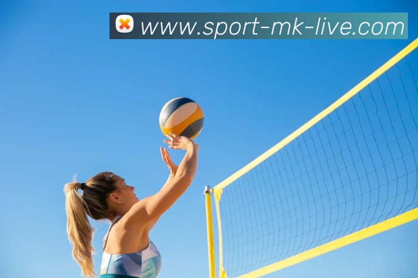 mk体育官方网站精彩赛事尽在MKSPORTS发展历程